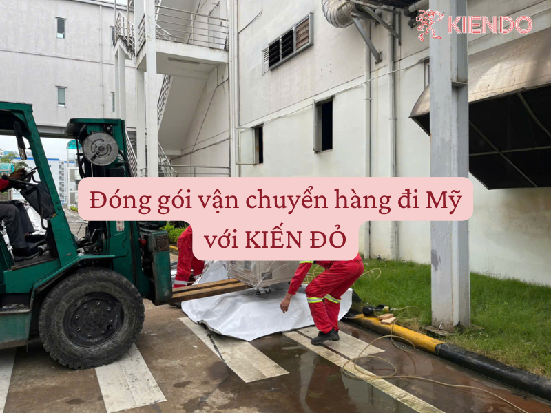 Đóng gói vận chuyển hàng đi Mỹ đã có Kiến Đỏ lo 