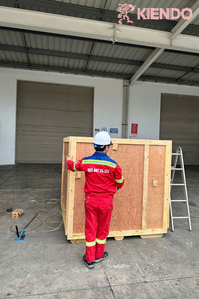 Dự án thực tế đóng gói hàng hoá với Kiến Đỏ