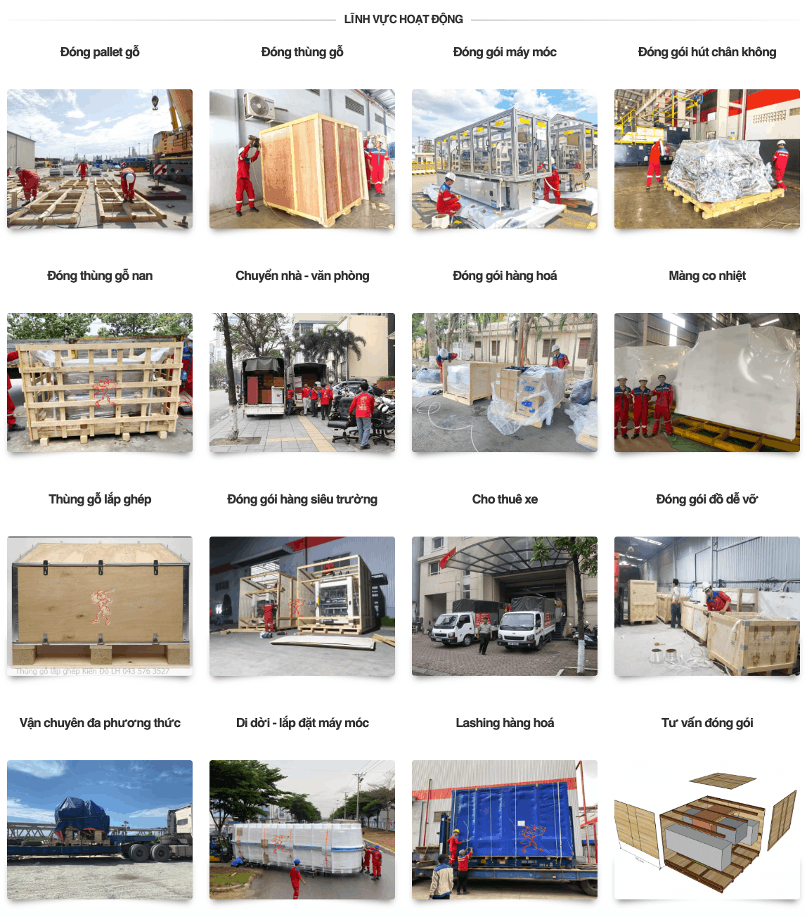 Lĩnh vực hoạt động của công ty Kiến Đỏ