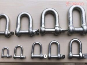 Ma ní cẩu 5 tấn có bao nhiêu loại?