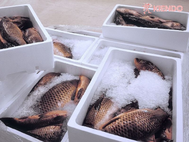 Quy cách đóng gói hàng thực phẩm và hàng đông lạnh