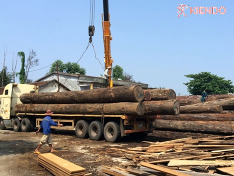 Ứng dụng của ma ní 2 tấn trong lâm nghiệp