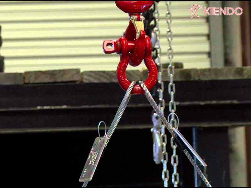 Ứng dụng của ma ní cẩu trong thực tế