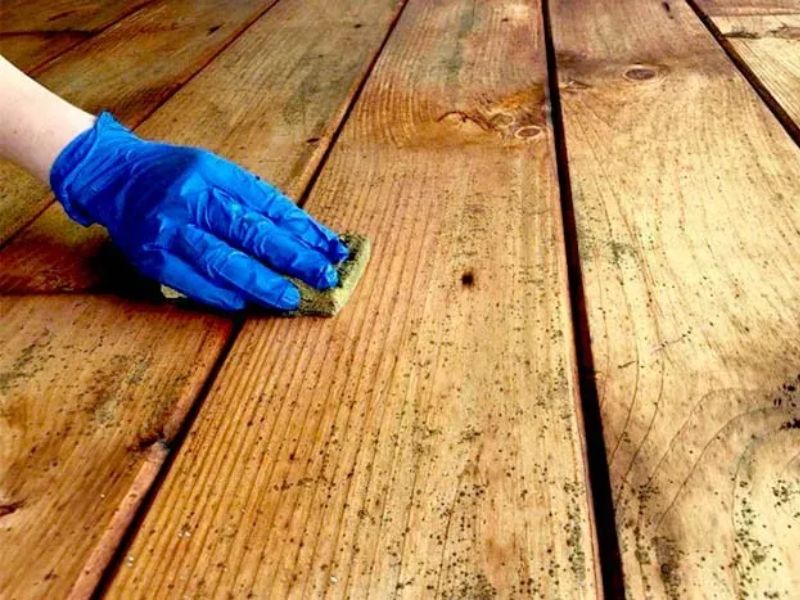 Gỗ chưa xử lý nhiệt hoặc còn ẩm sẽ không đủ điều kiện xuất khẩu