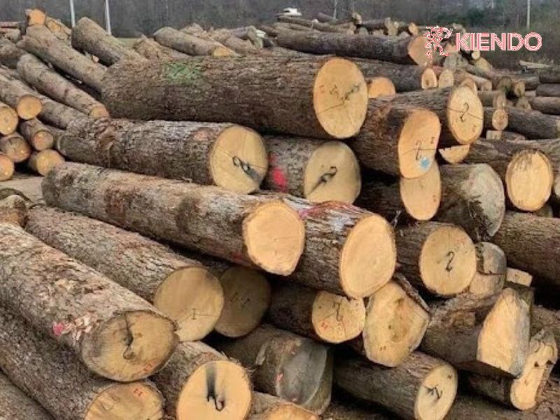 Một số câu hỏi thường gặp khác: