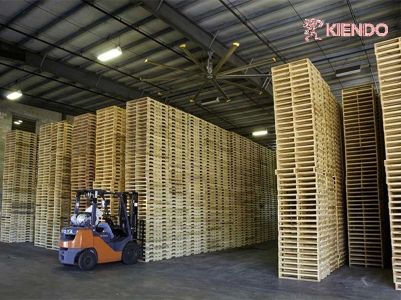 Nên mua pallet gỗ ở đâu chất lượng, uy tín?