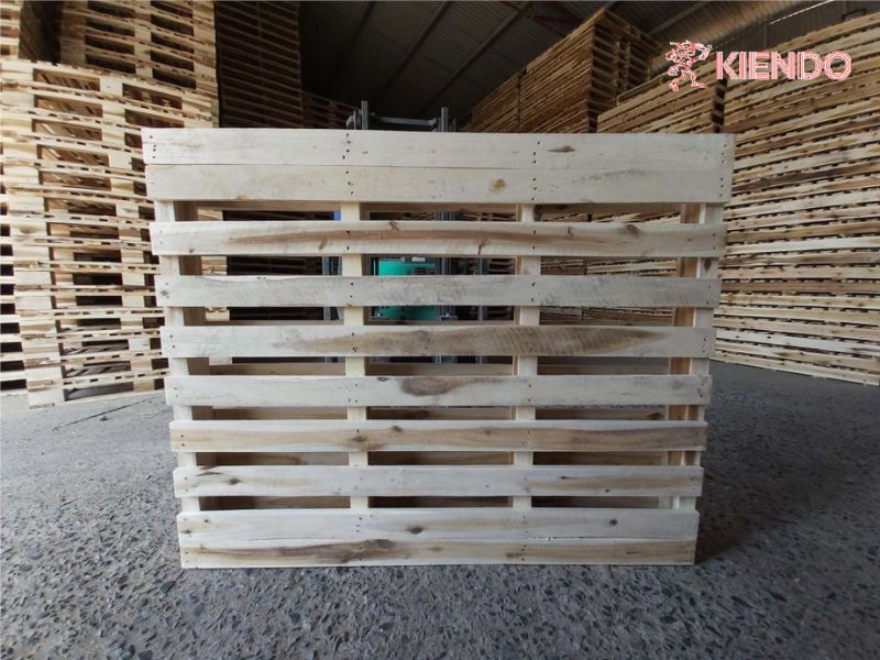 Vậy nên chọn pallet 2 hướng và pallet 4 hướng?