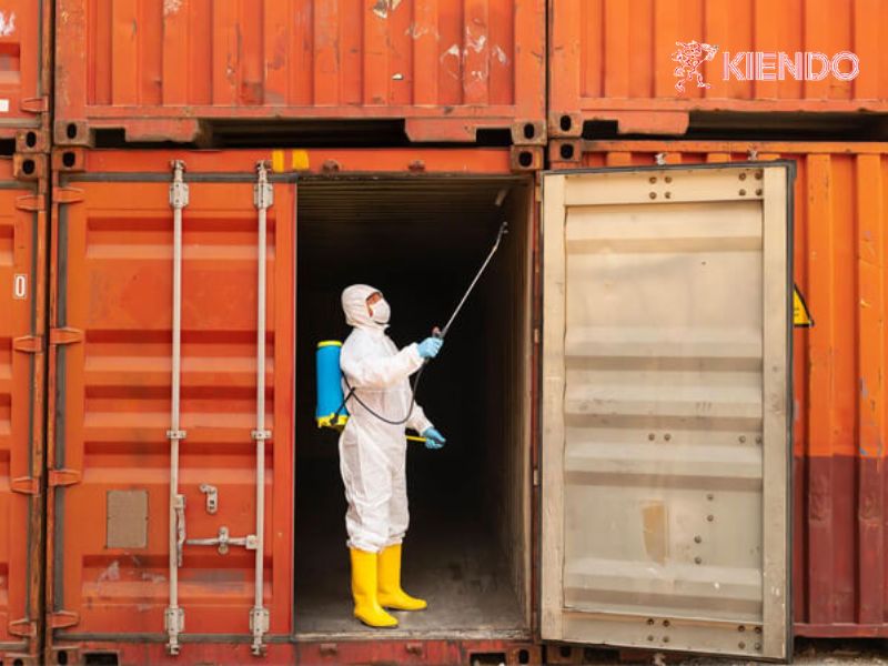 Vậy thùng gỗ xuất khẩu có bắt buộc hun trùng không?